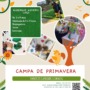 Campa de Primavera no Lug 2
