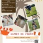 Campa de Verán no Lug 2